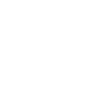 Pelton Turbine