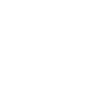 Francis Turbine