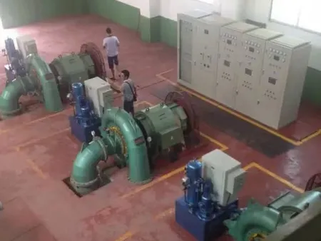 Francis Turbine