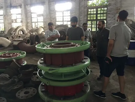 Francis Turbine
